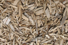 biomass boilers Bannvale